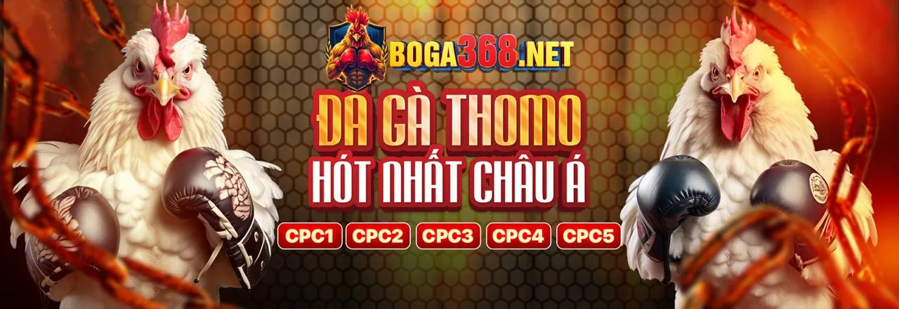Hình ảnh kết luận về SIN88 Chính Thức, mời tham gia ngay