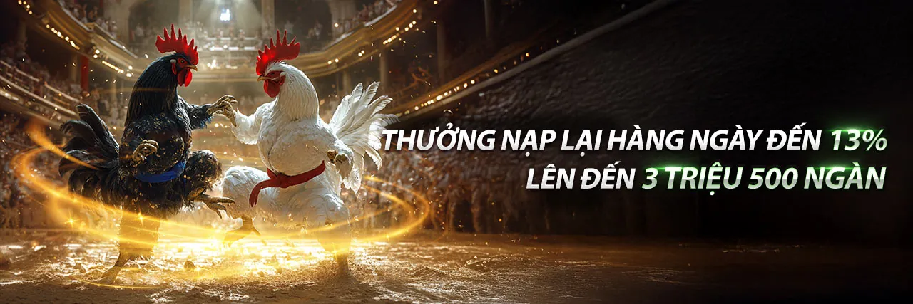 Hình ảnh một trận đấu đá gà kịch tính tại sin88 chính thức