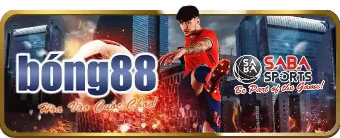 Đá Gà Thomo - được yêu thích bởi sự chuyên nghiệp và minh bạch